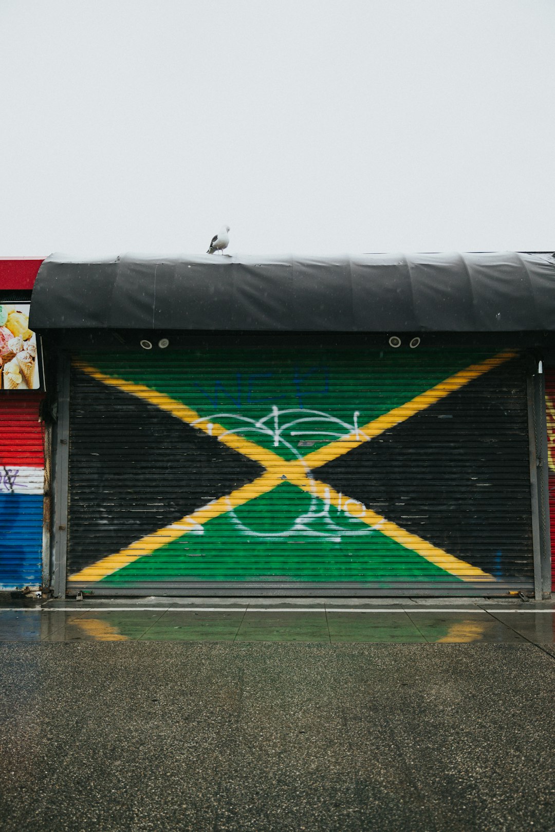 green and red wall with white bird on top