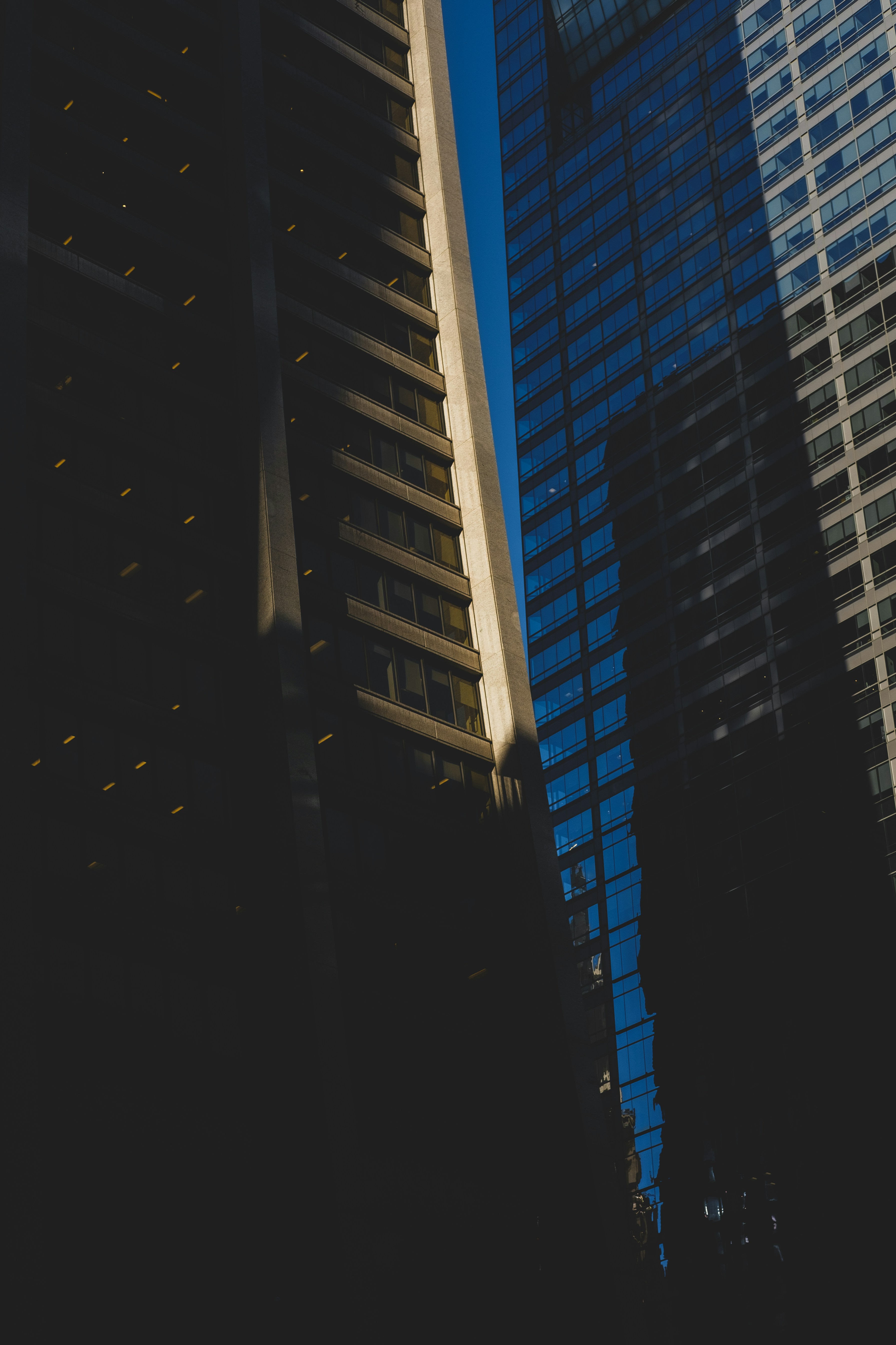 Photo by goodbetterbetts