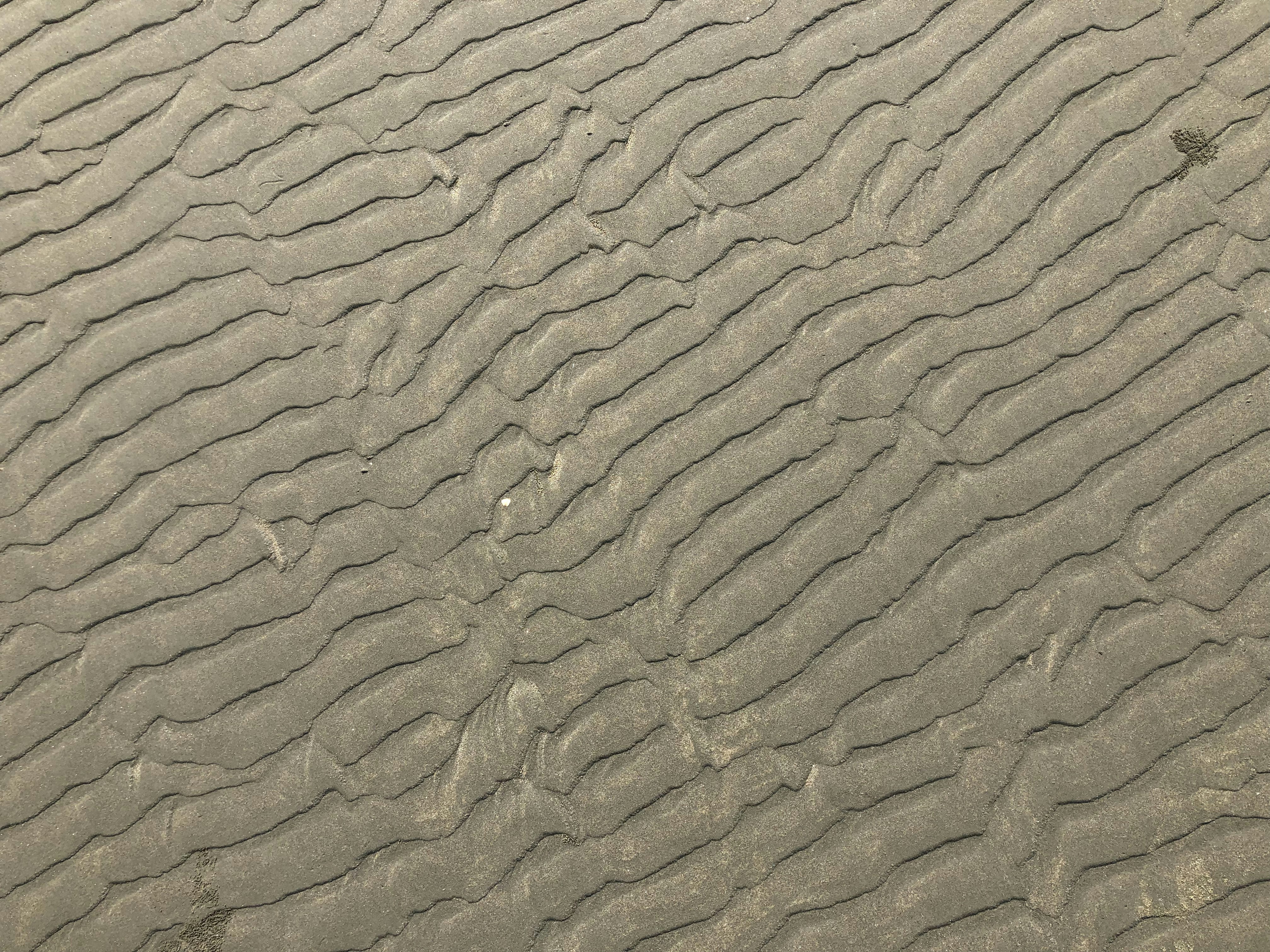 Photo by raselalzakaria