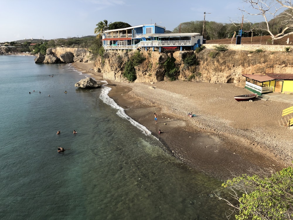 people on beach during daytime