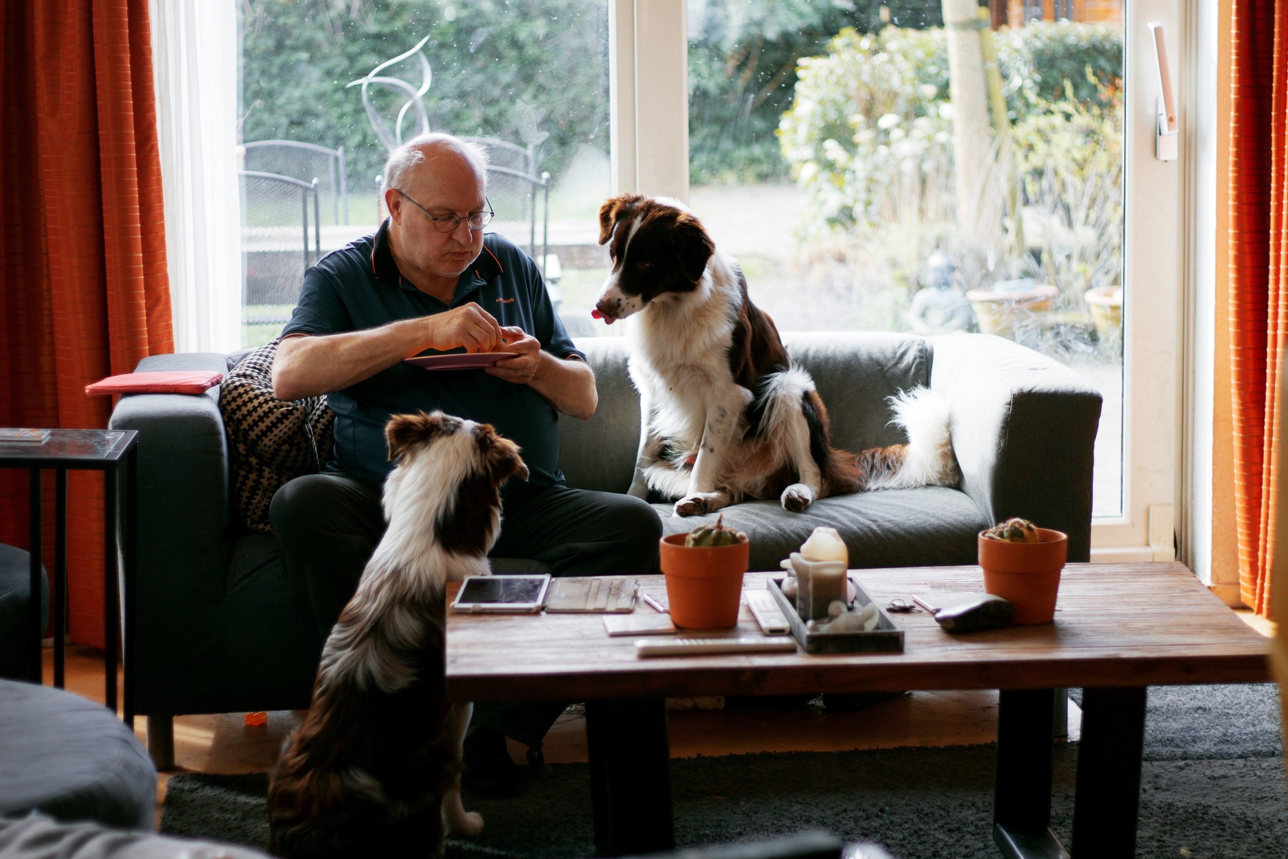 Elderly man sitting on a couch in the living room feeding his dog.
