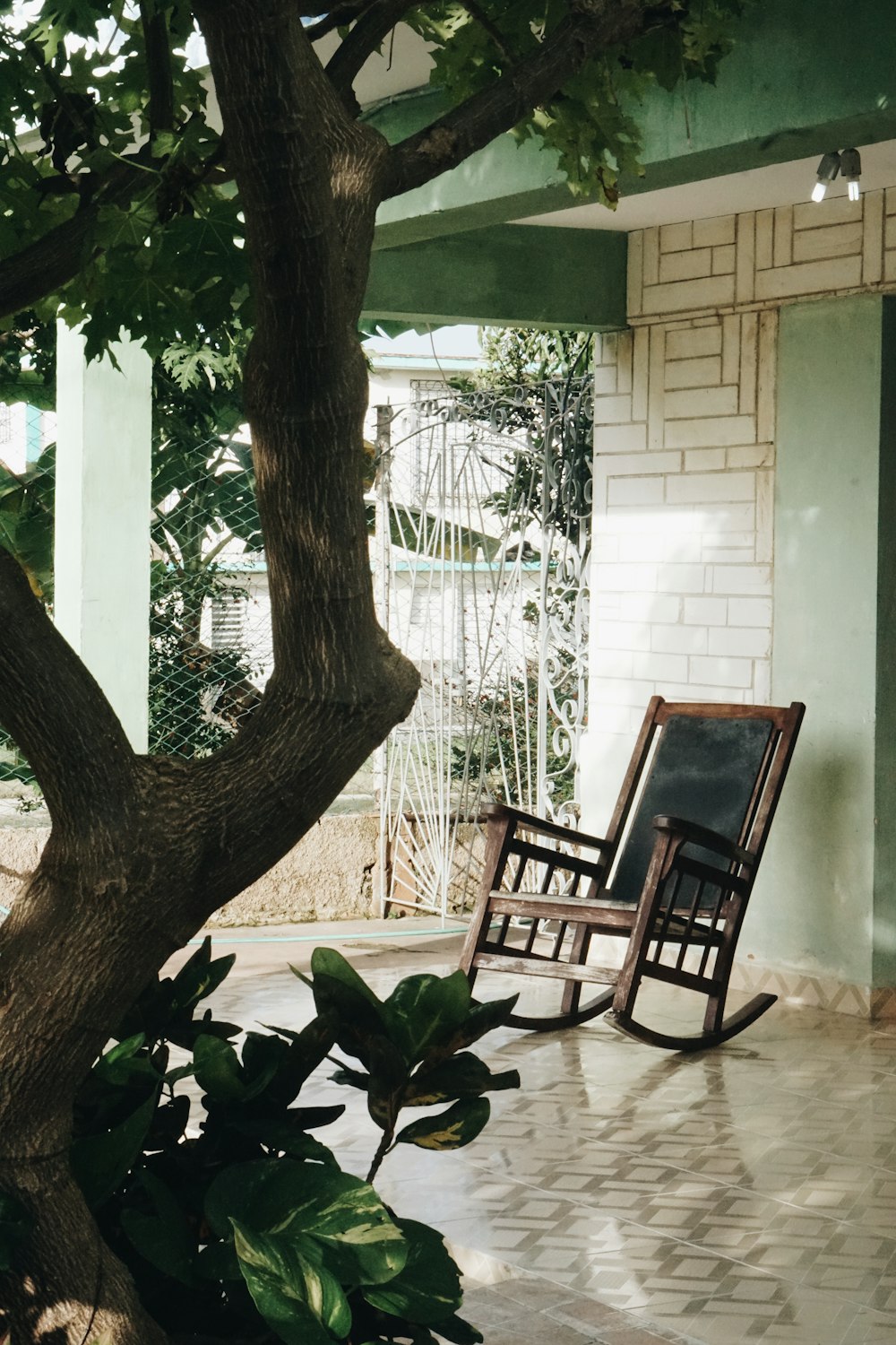 cadeira de balanço de madeira marrom sob a árvore verde