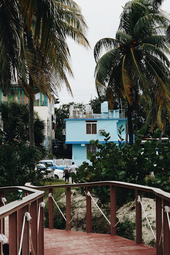 white and blue concrete building near palm trees during daytime in Varadero Cuba