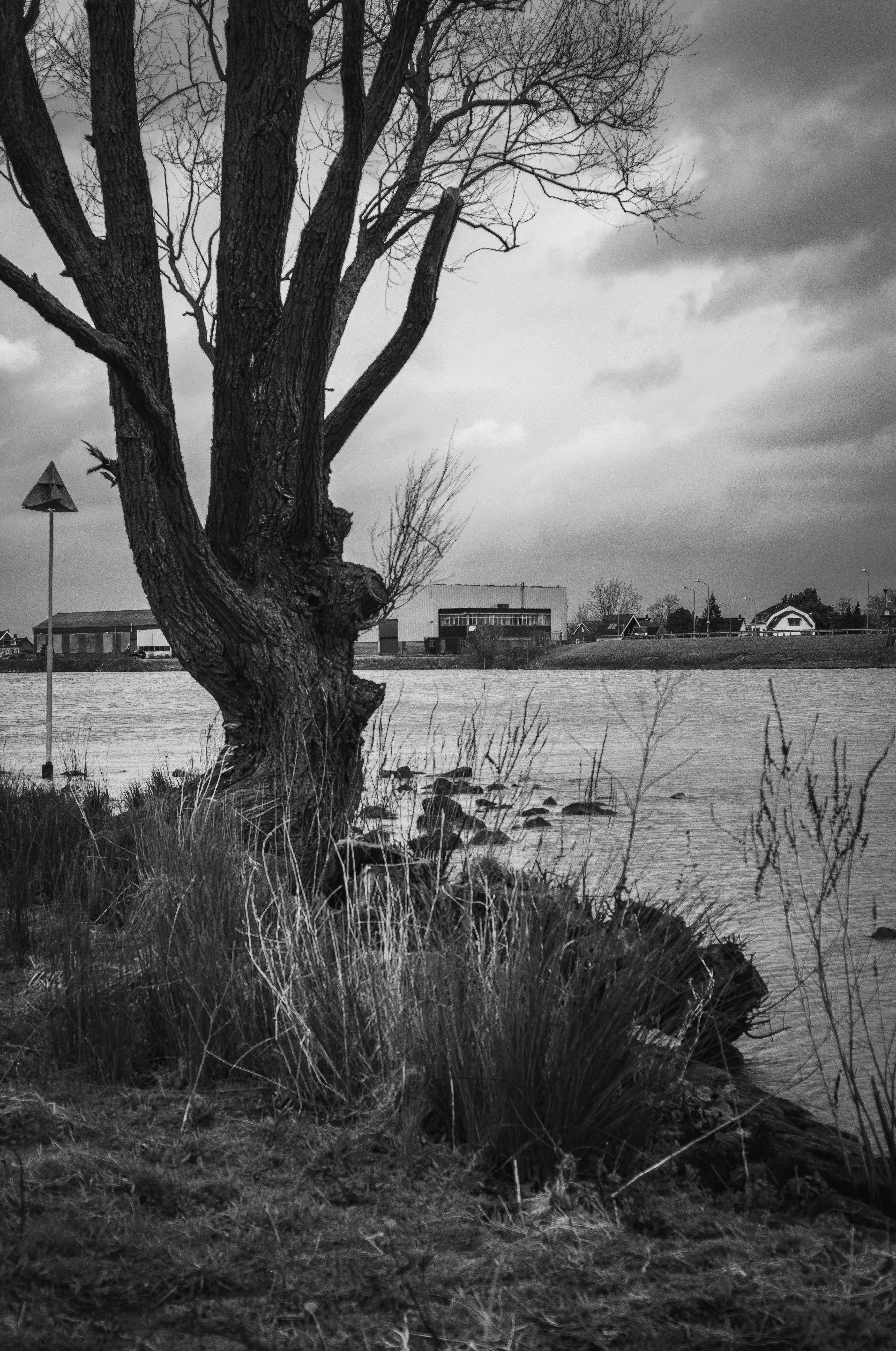 Photo by peterctid