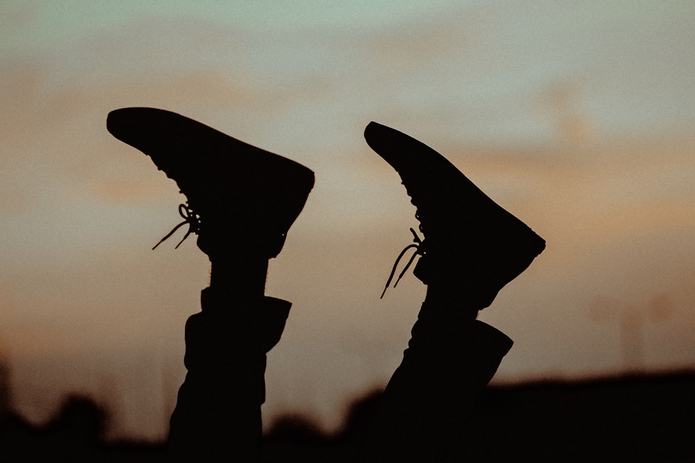 silhouette of a person holding a bird