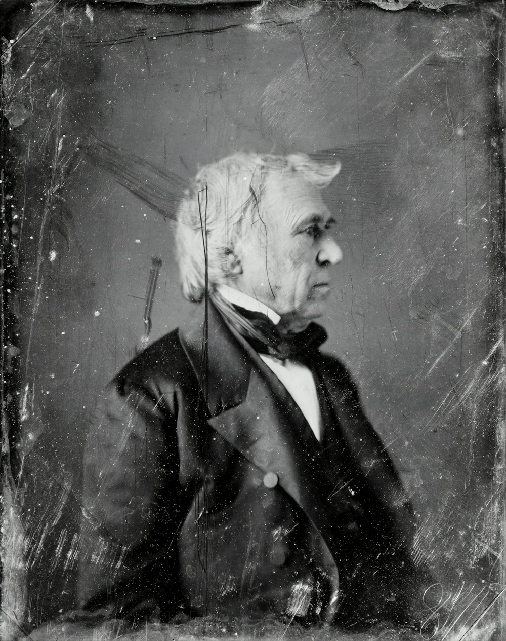 President Zachary Taylor