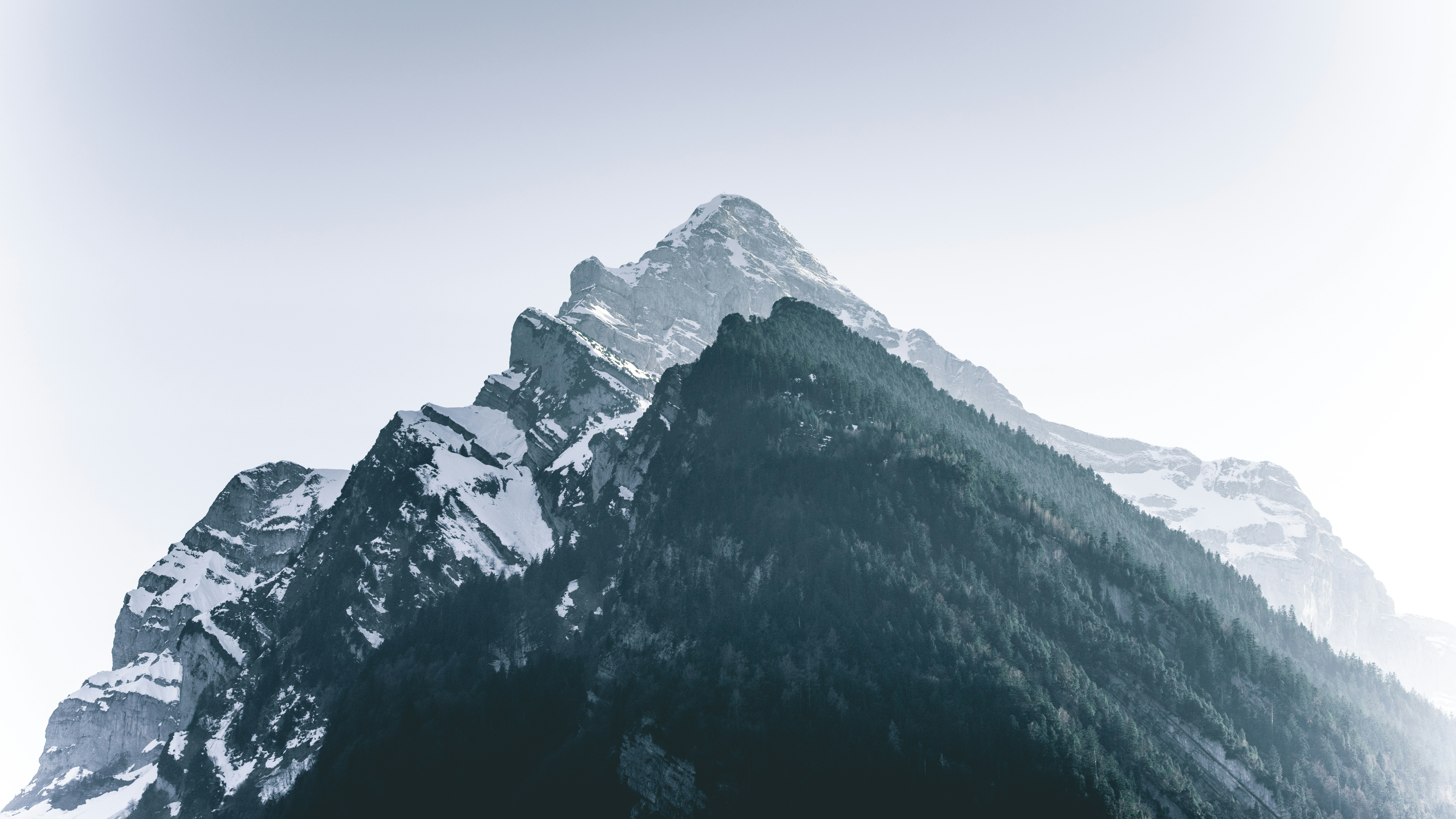 Photo by barnabartis