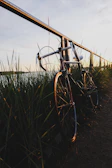 Gravel bike leaning against a rustic wooden fence overlooking rolling hills at sunset.