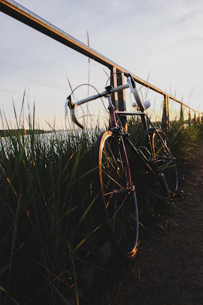 Gravel bike leaning against a rustic wooden fence overlooking rolling hills at sunset.