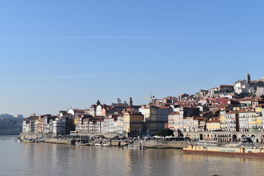 city buildings near body of water during daytime in Porto Portugal