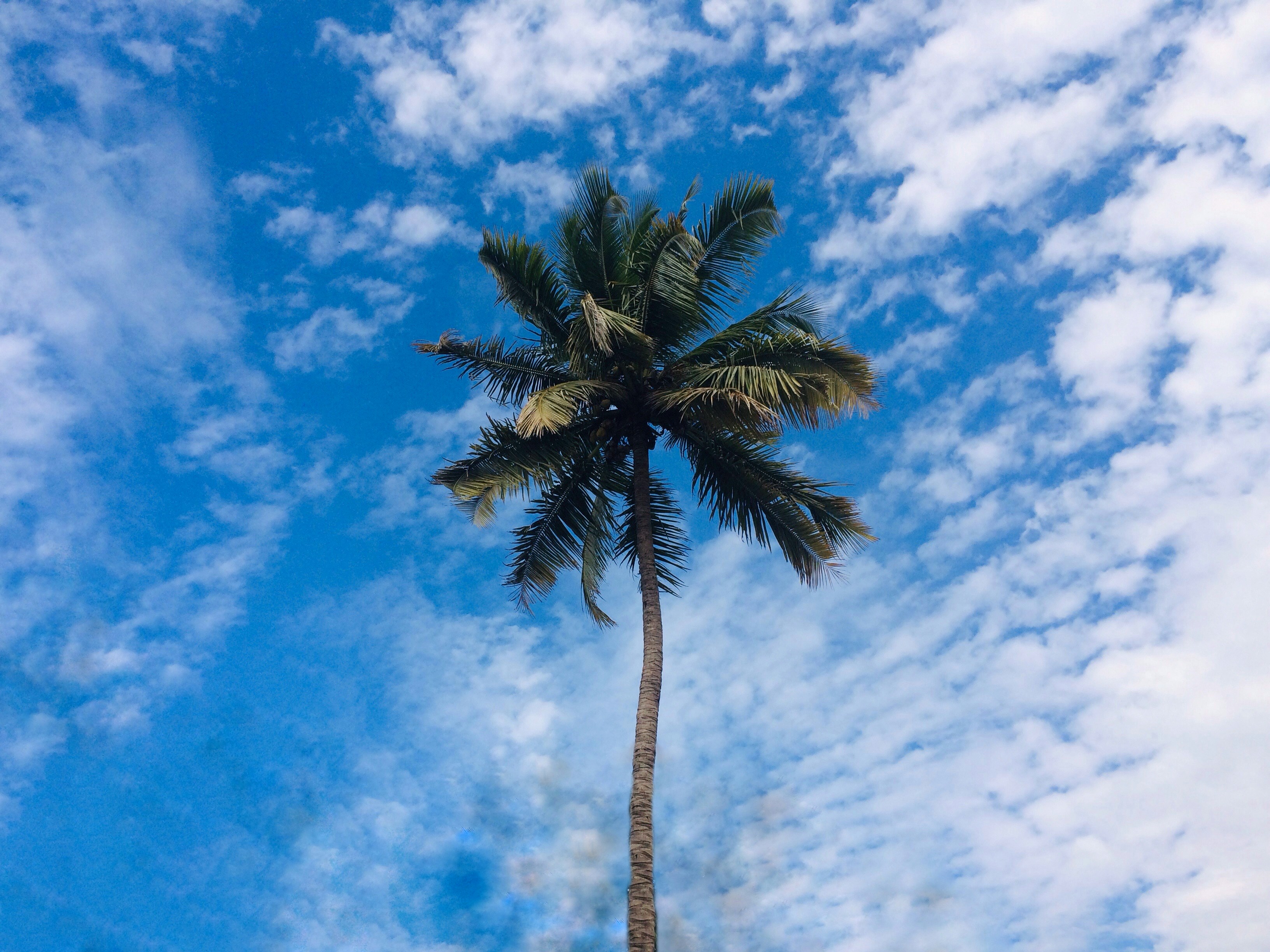 Photo by naturephotograpy