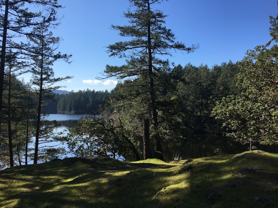 Tropical and subtropical coniferous forests photo spot Thetis Lake Regional Park Canada