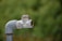 A metal pipe with a valve is positioned in the foreground against a blurred green background. The pipe appears to be weathered, with visible rust and worn threads. A piece of cloth or twine is wrapped around the joint, possibly for sealing or support.
