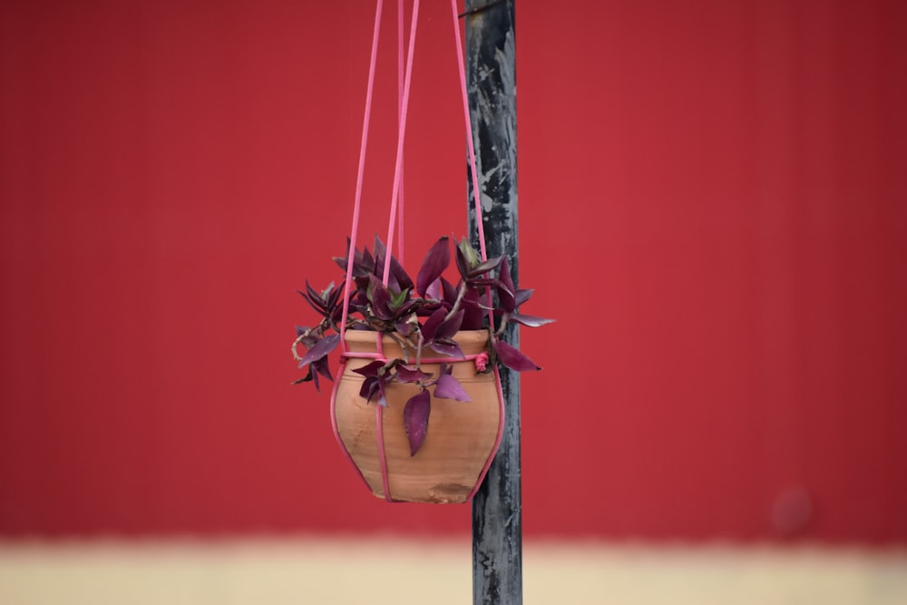 brown wooden hanging decor with green leaves