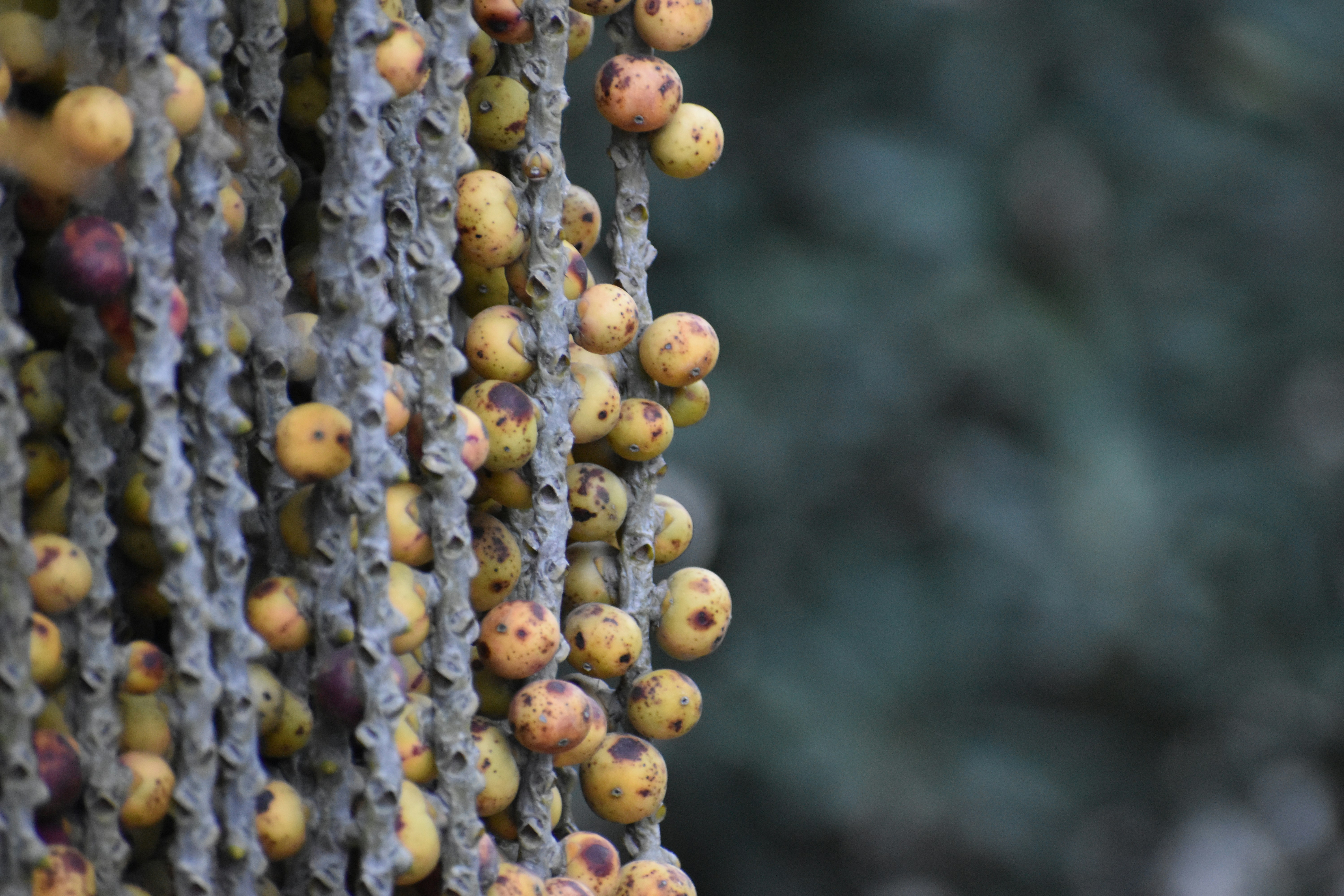 Photo by utkarshagarwal