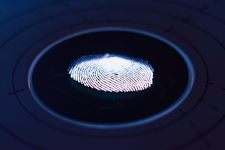 A close-up of a fingerprint illuminated by a blue and purple light, set against a dark background with faint concentric circles. The fingerprint's ridges are highlighted, giving a sense of depth and texture.
