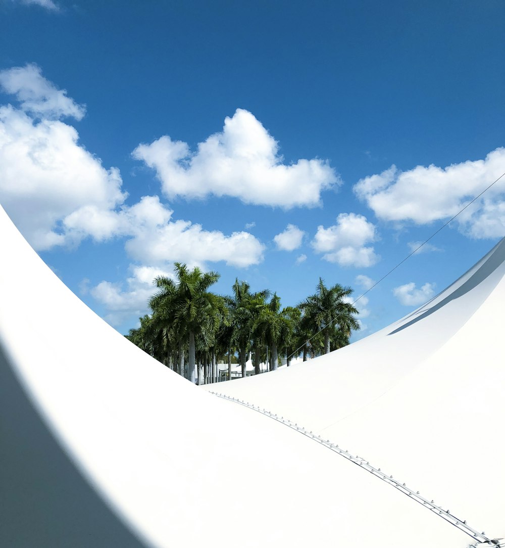 white concrete building near palm trees under blue sky during daytime