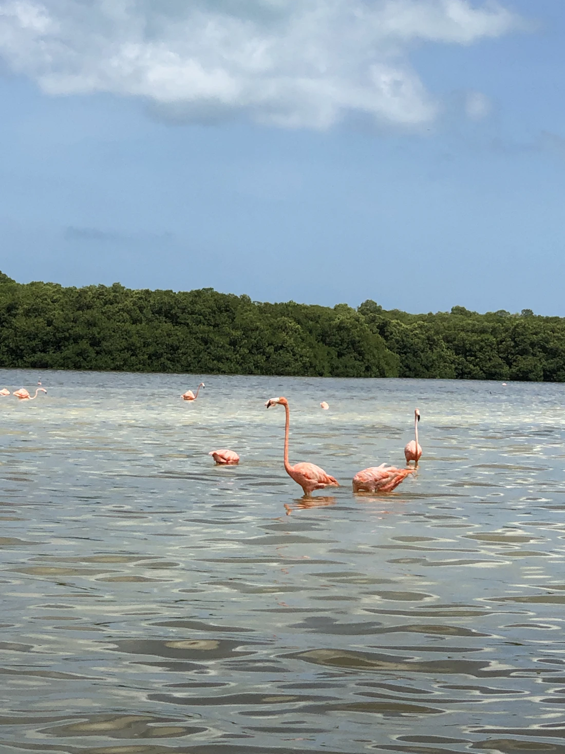 Penisola dello Yucatán
