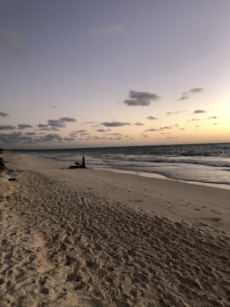 A serene beach scene at sunset, with gentle waves lapping at the shore and a silhouette of a writer sitting on the sand, notebook in hand.