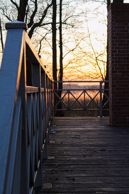 Wood deck and railing built by a local Portland metro contractor