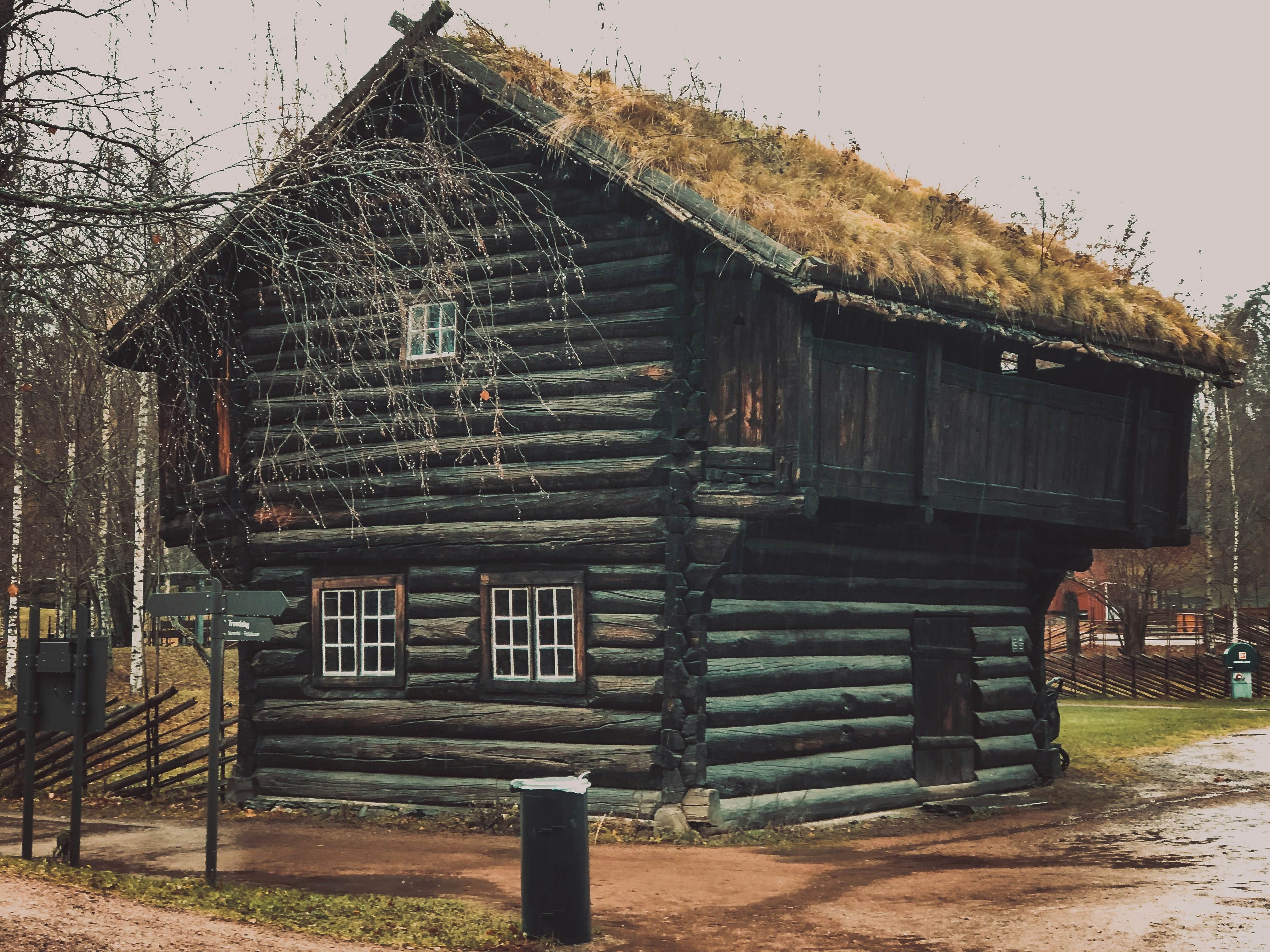 brown wooden house near bare trees during daytime