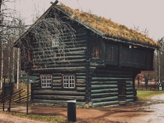 A rustic wooden cabin with a thatched roof is nestled among bare trees in a tranquil setting. The structure is made of dark logs with multiple windows and a small staircase leading to a balcony. The ground is covered with sparse grass and a dirt path, giving a sense of rural simplicity.