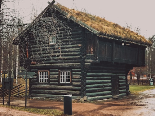 A rustic wooden cabin with a thatched roof is nestled among bare trees in a tranquil setting. The structure is made of dark logs with multiple windows and a small staircase leading to a balcony. The ground is covered with sparse grass and a dirt path, giving a sense of rural simplicity.