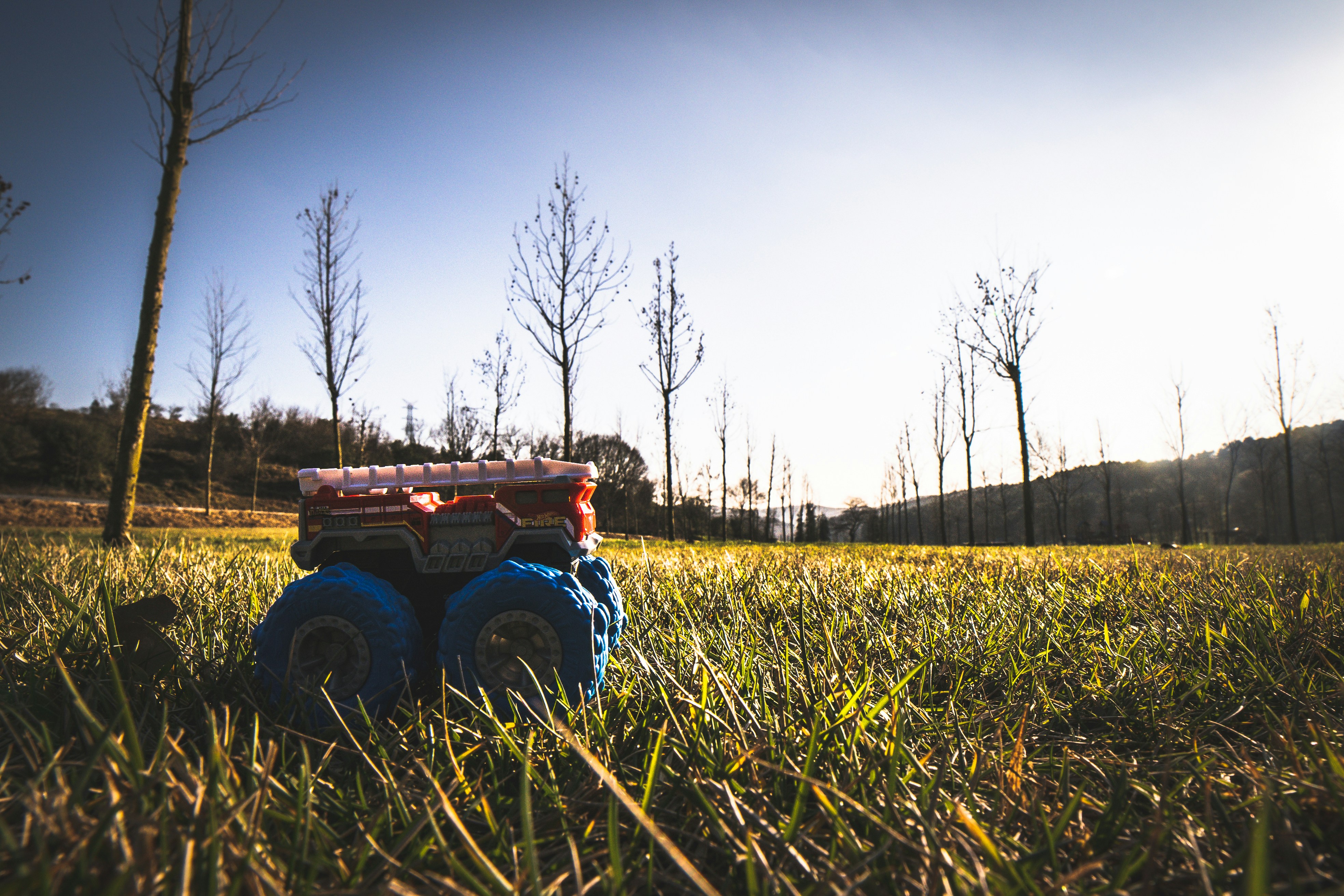 Photo by umityildirim