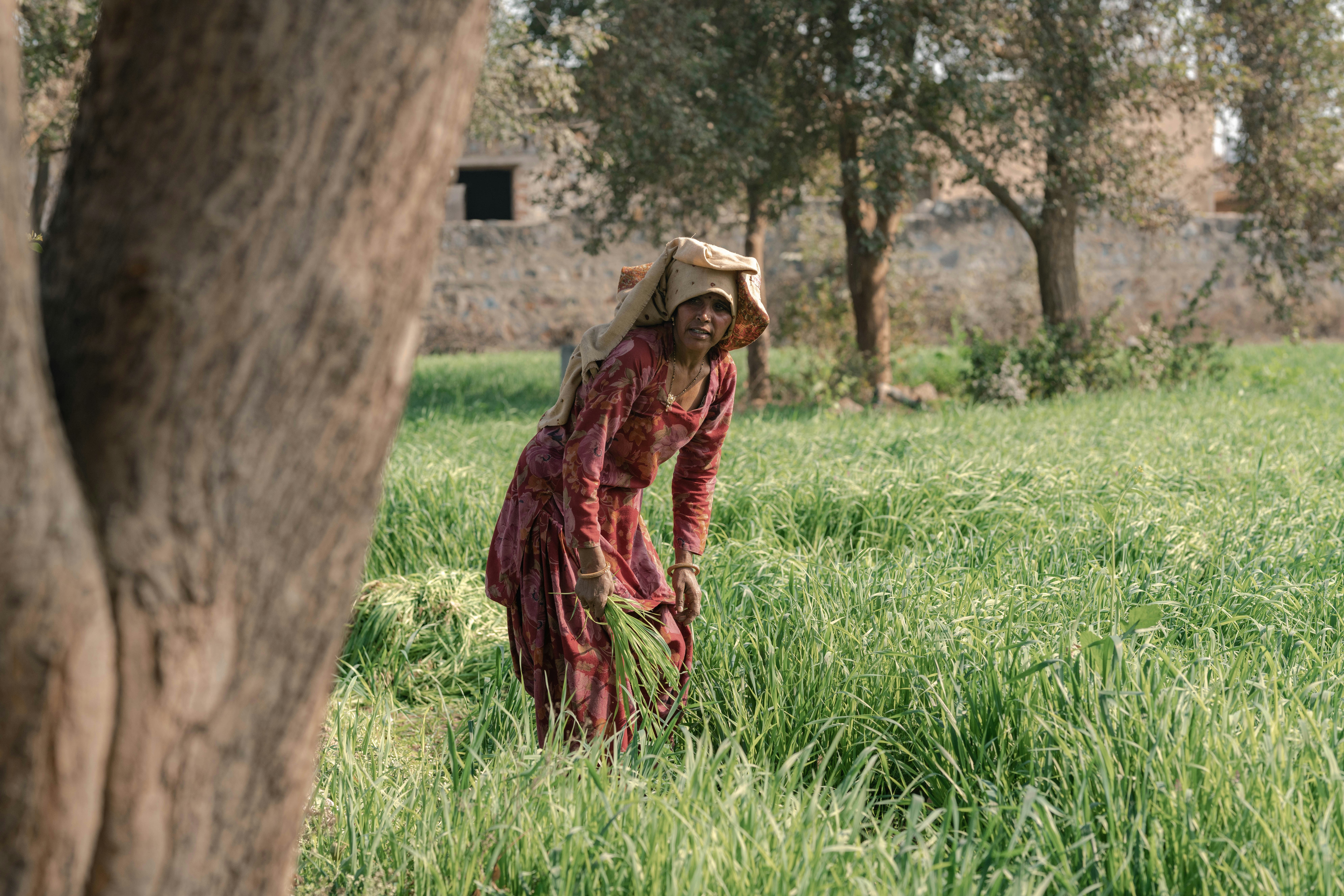 Photo by corey_untitled