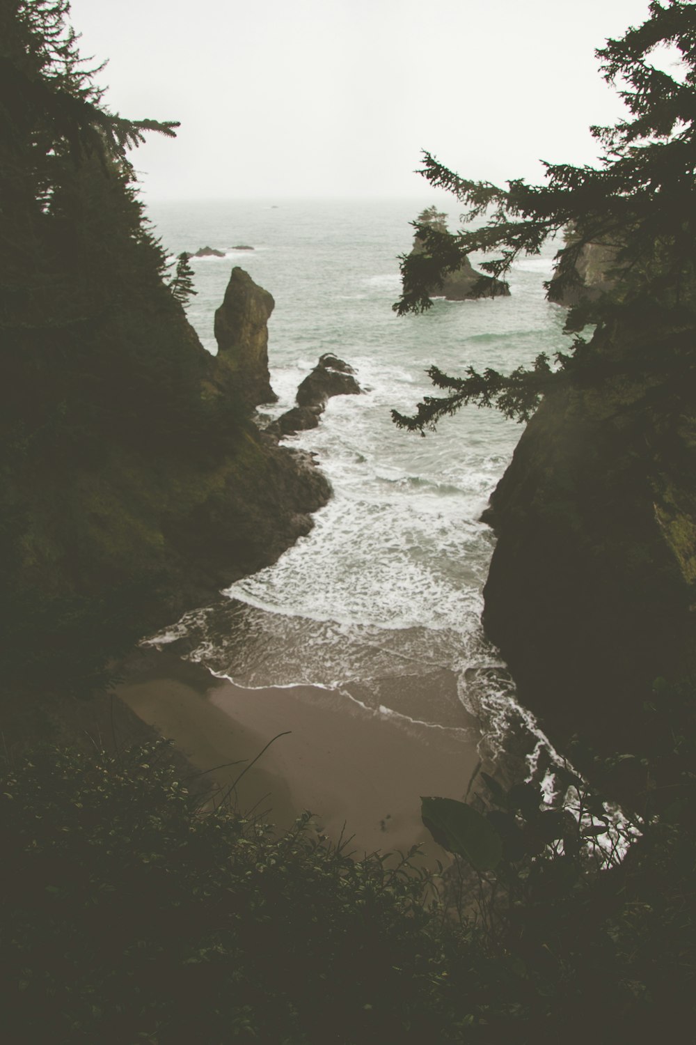 people walking on beach shore during daytime