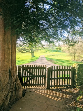 A welcoming wooden fence gate opening to a quiet country road under soft sunlight.