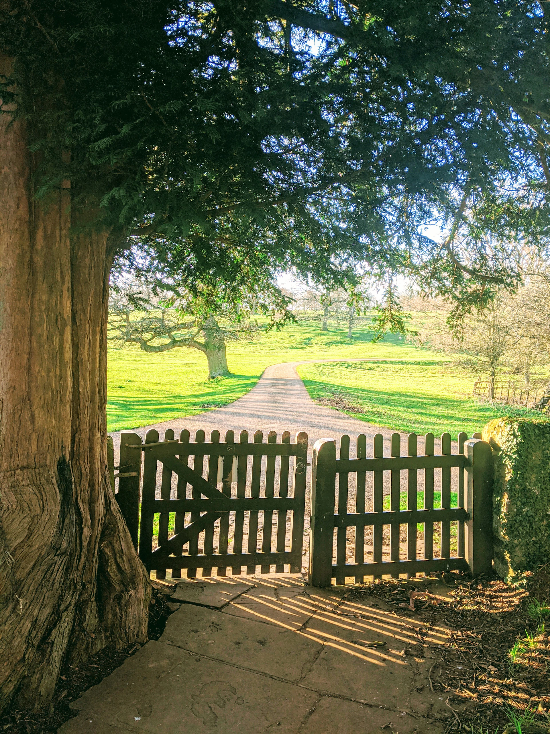 gray computer monitor