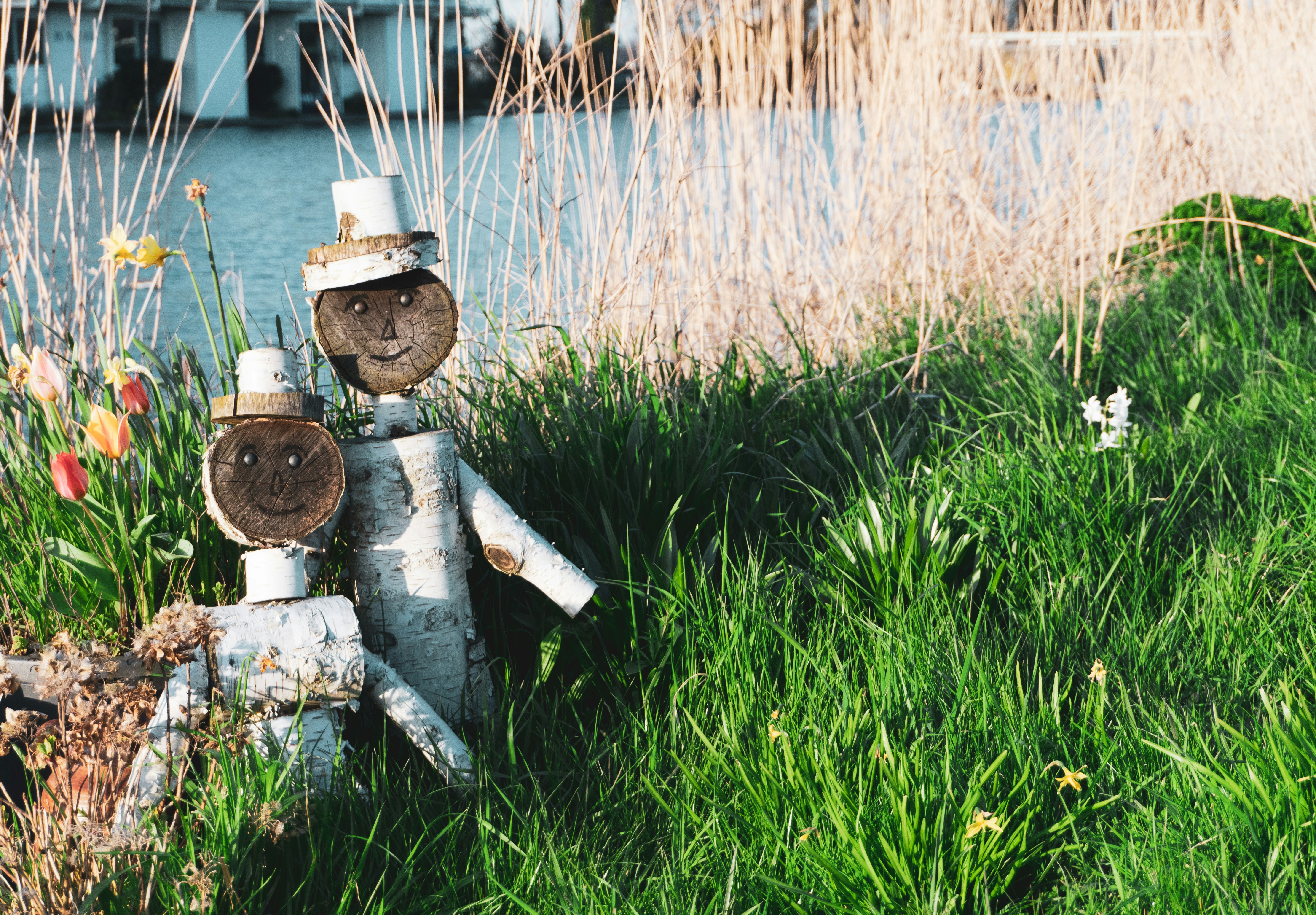 Photo by ivannavinni