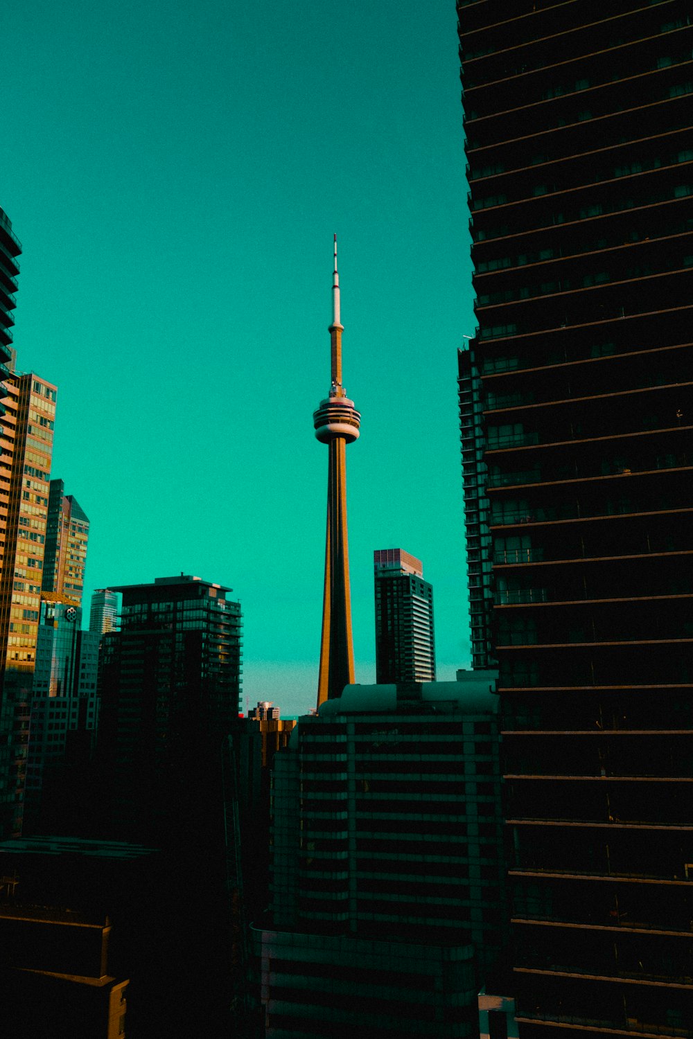 high rise buildings during night time