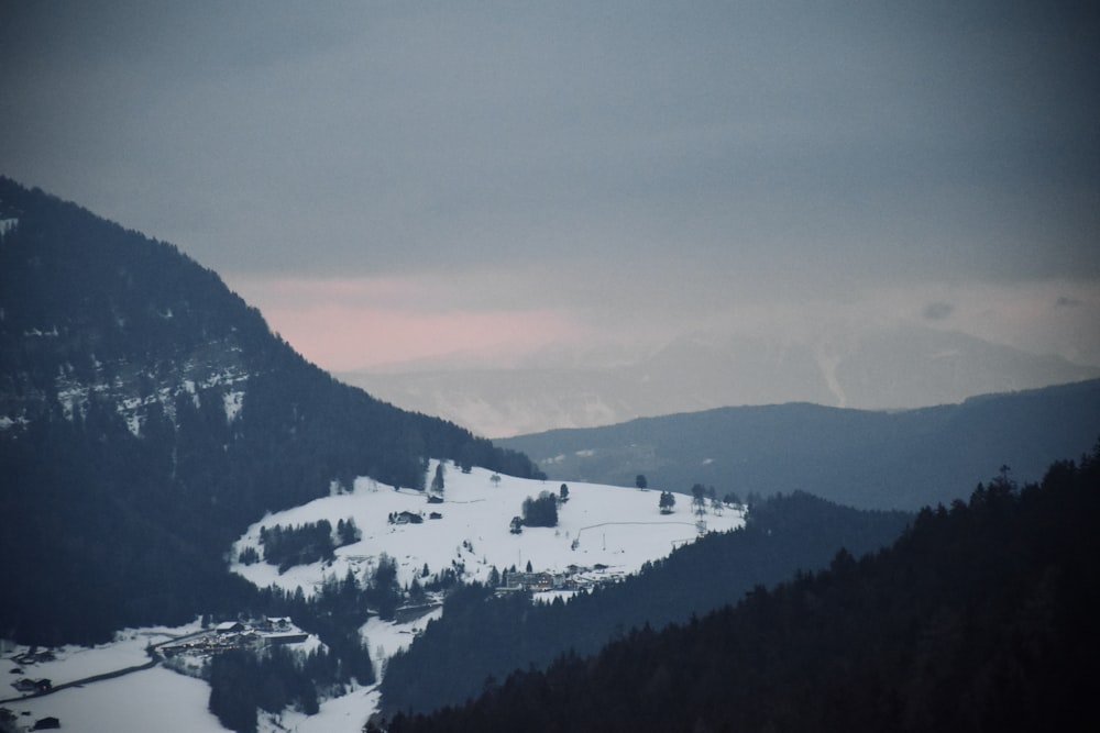 árvores verdes na montanha coberta de neve durante o dia