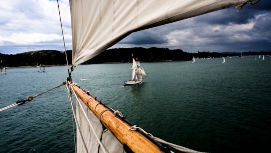 white sail boat on sea during daytime in Paihia New Zealand