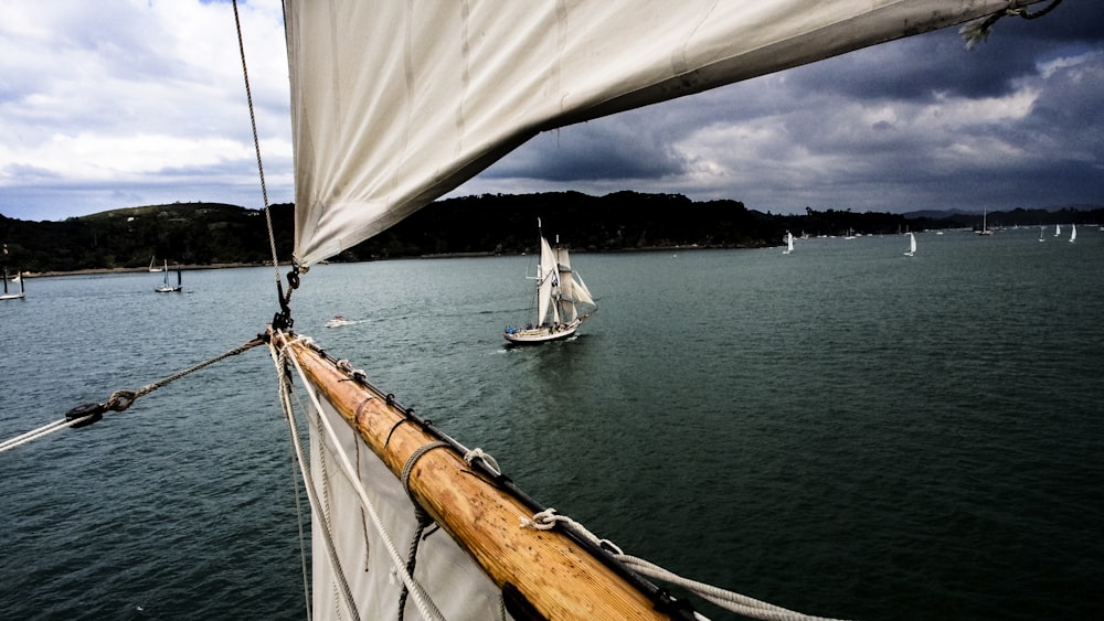 white sail boat on sea during daytime