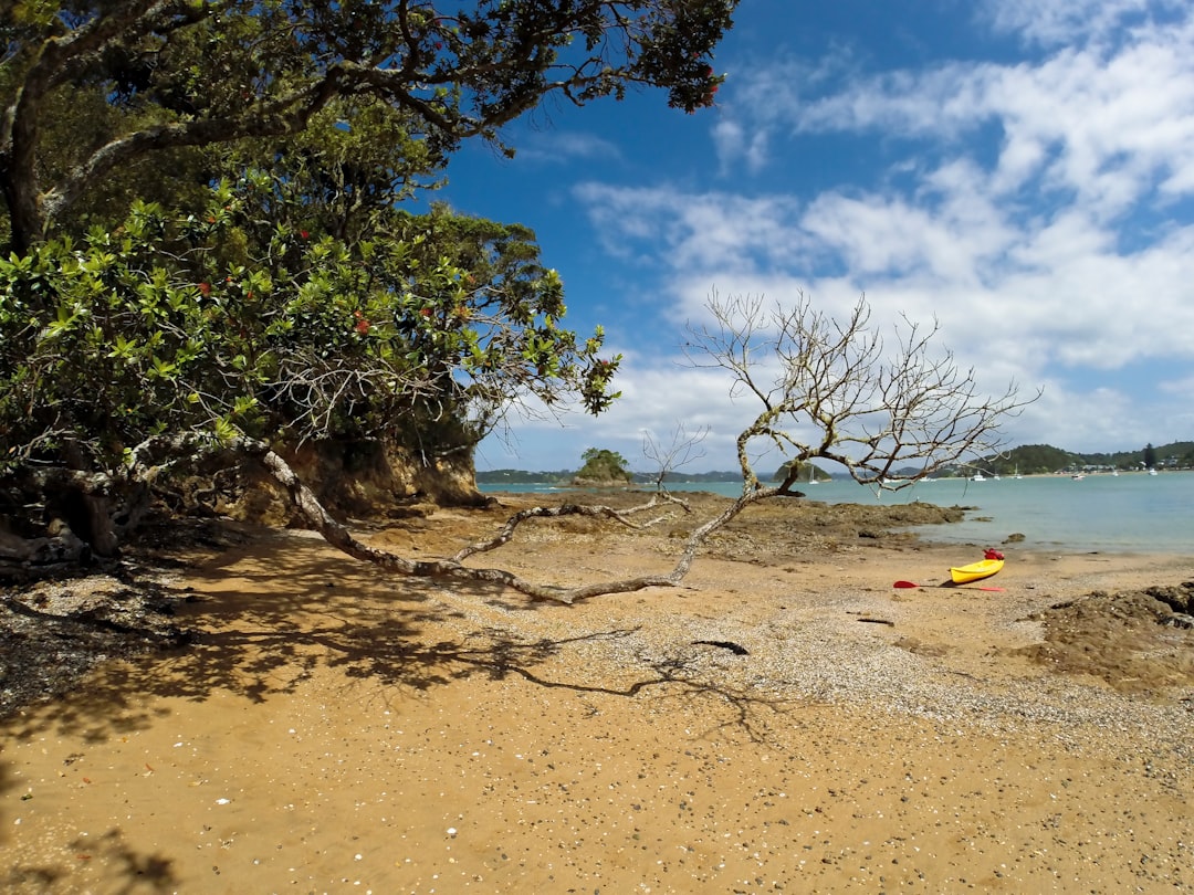photo of Paihia Beach near Urupukapuka Island