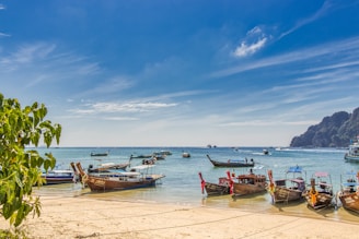 white and brown boat on sea shore during daytime