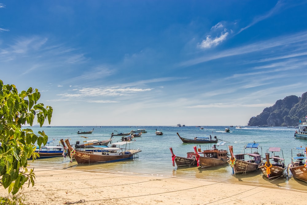 white and brown boat on sea shore during daytime