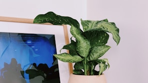 Close-up of tasteful artwork and decorative plants enhancing the room’s ambiance.