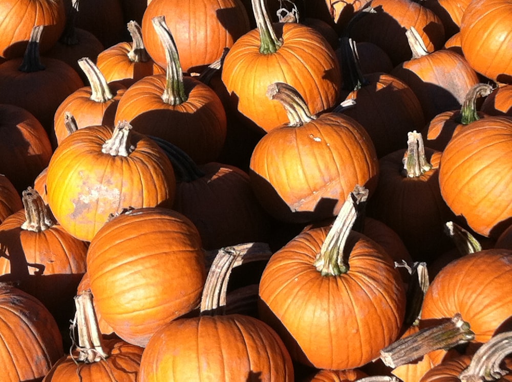 orange pumpkins on brown wooden table