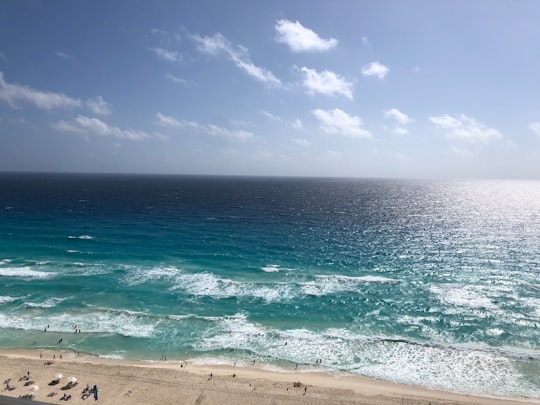 people on beach during daytime in Cancún Mexico