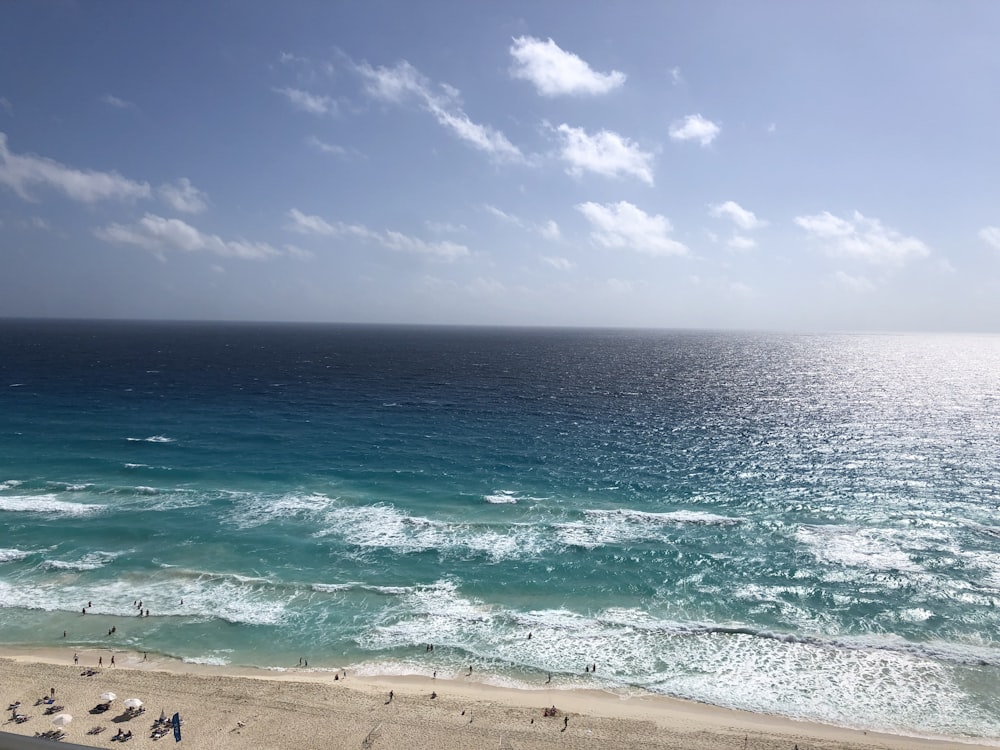 people on beach during daytime