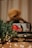 A smartphone displays a video call with a person holding a red guitar and smiling. In the foreground, a stack of books titled 'Fifty Shades Darker' and some green plants are visible. Fairy lights add a warm, cozy ambiance to the scene.