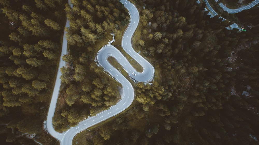 aerial view of green trees and road