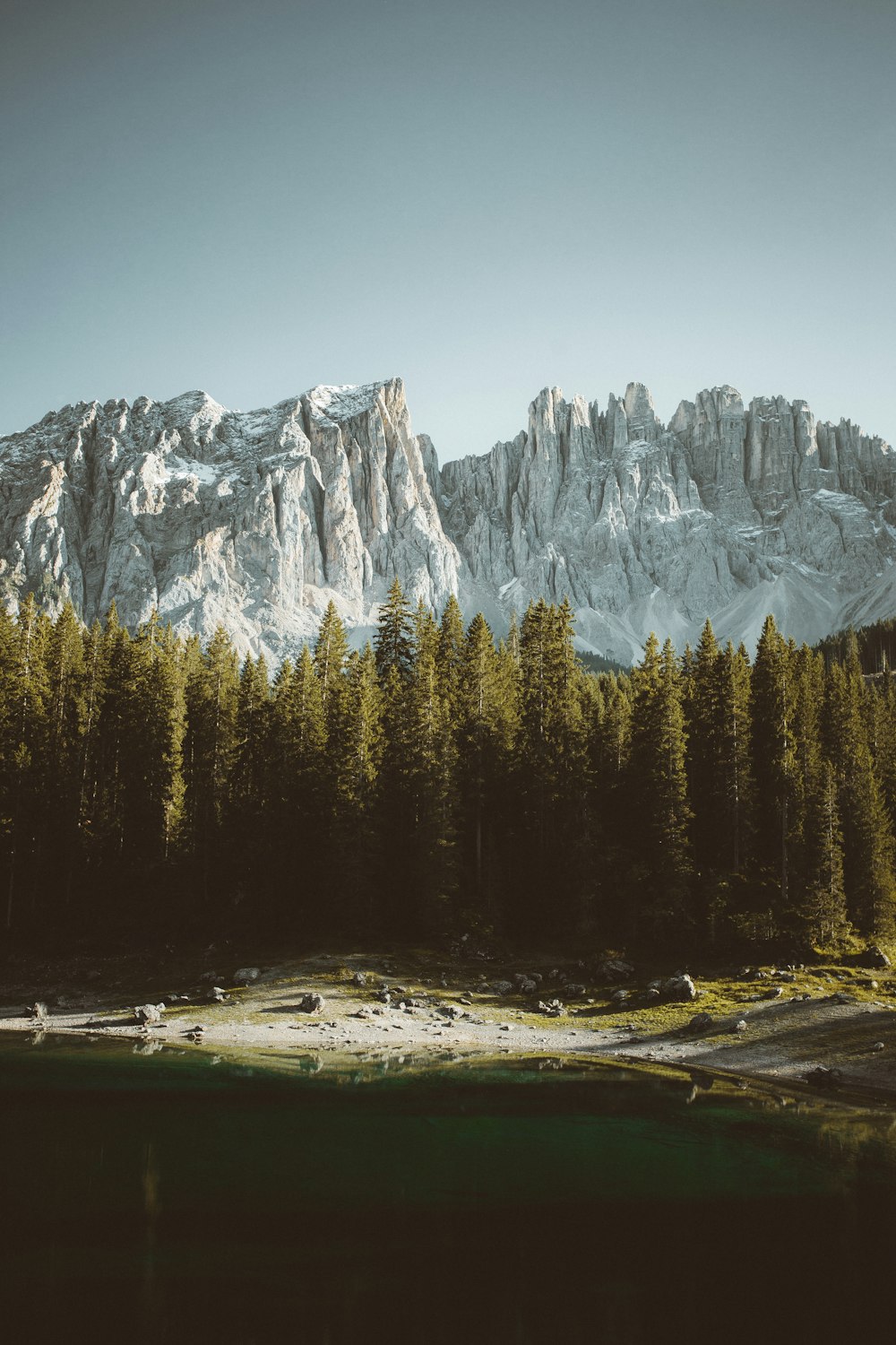 green pine trees near mountain during daytime