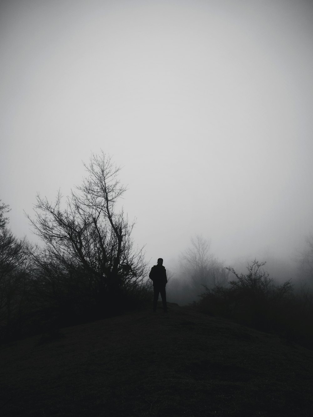 silhouette of person standing on foggy field