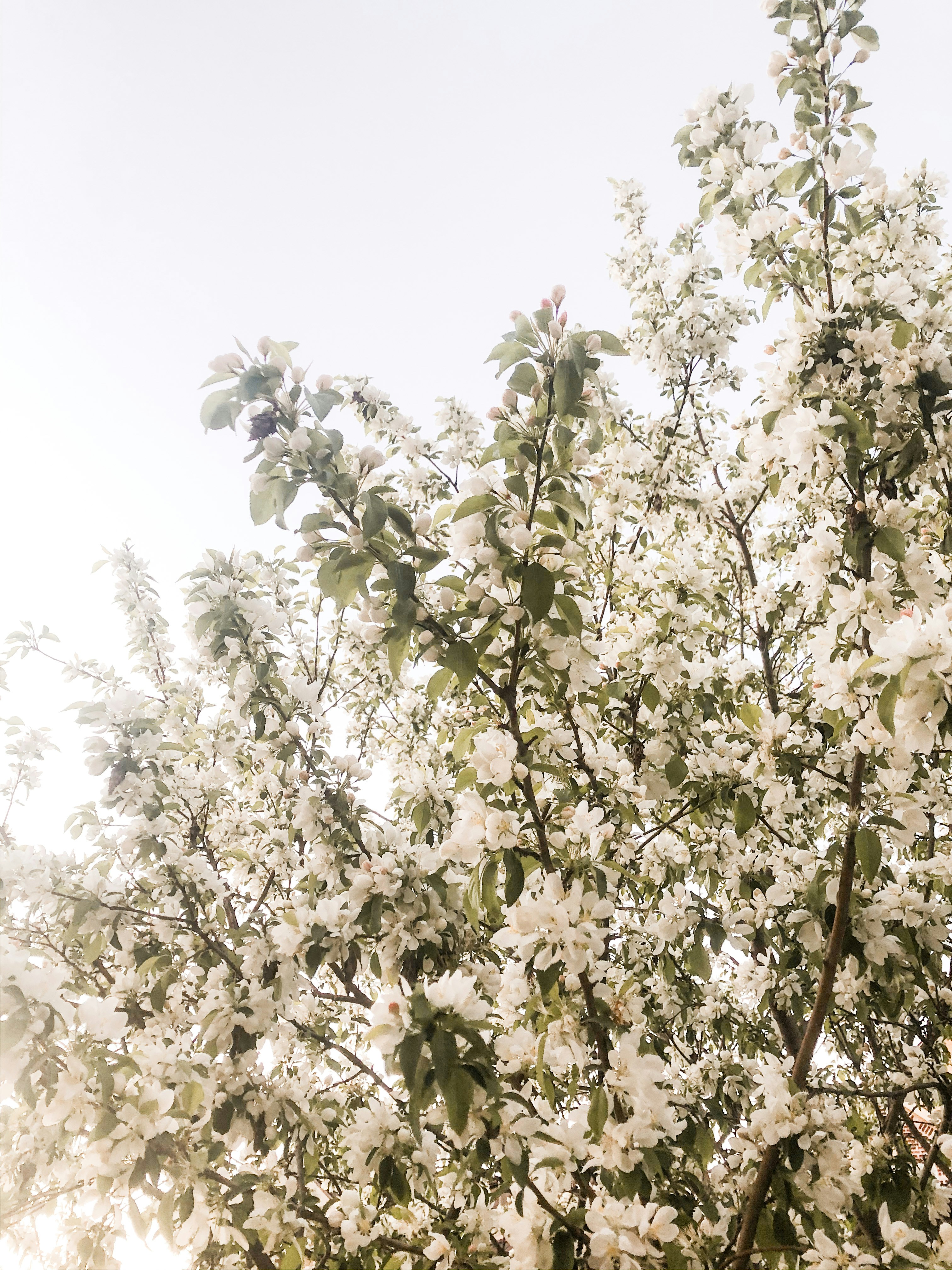 Photo by joyfulcaptures