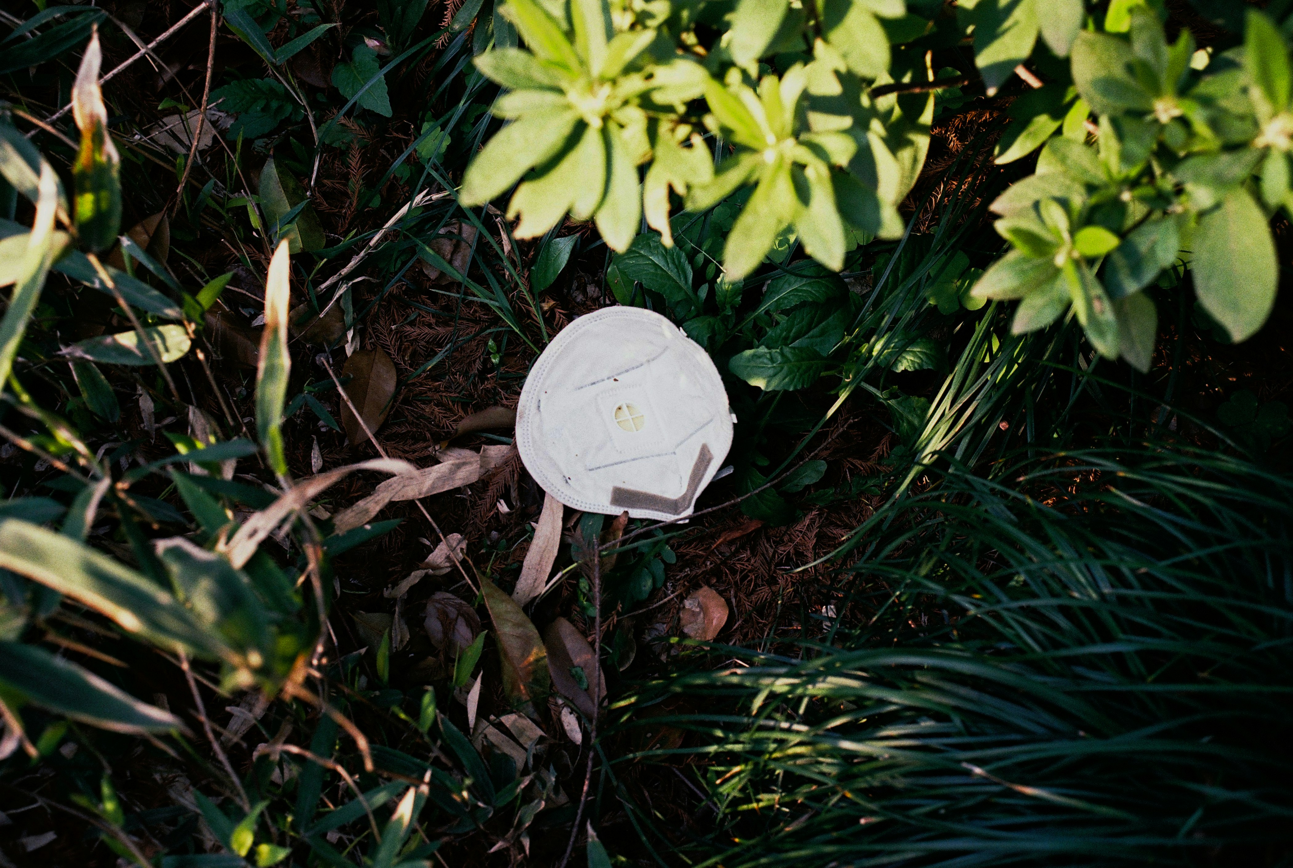 white round plastic ornament on green plant